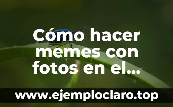Cómo hacer memes con fotos en el celular