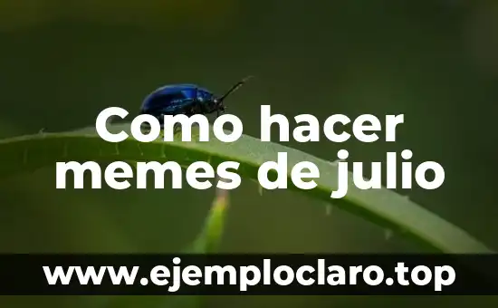Como hacer memes de julio