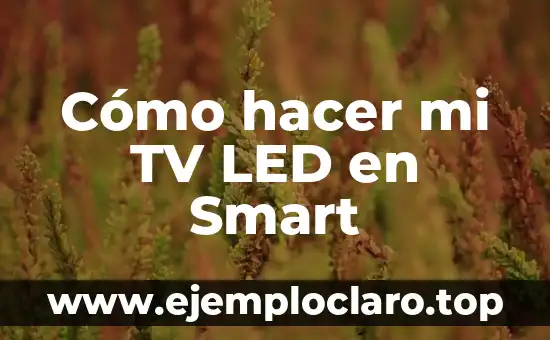 Cómo hacer la puerta de mi casa sin ser carpintero 4 Cómo hacer mi TV LED en Smart