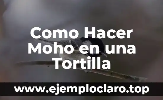 Como Hacer la Tortilla de Papa 7 Como Hacer Moho en una Tortilla