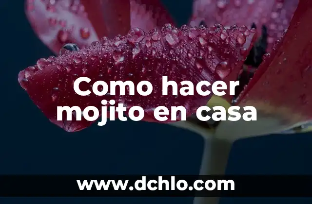 Como Hacer Dinero en Internet desde Casa 3 Como hacer mojito en casa