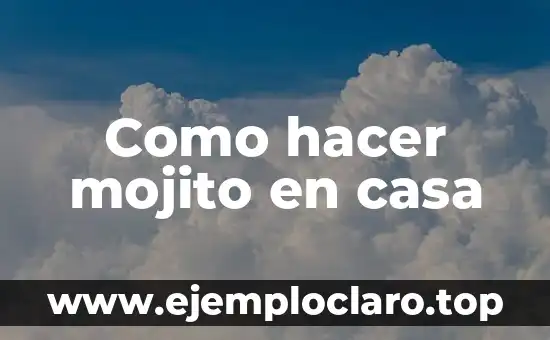 Como Hacer Dinero en Internet desde Casa 3 Como hacer mojito en casa