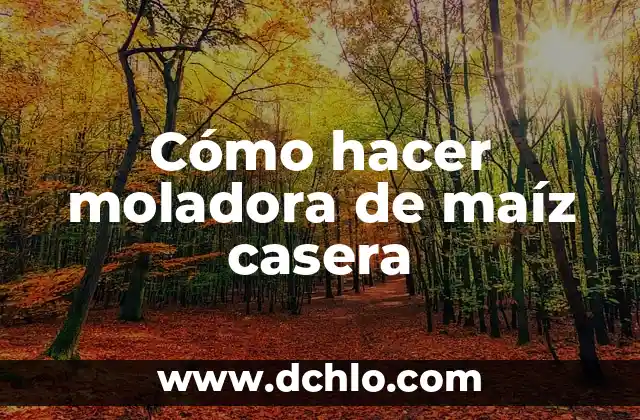 Cómo hacer tortitas de maíz tierno 8 Cómo hacer moladora de maíz casera