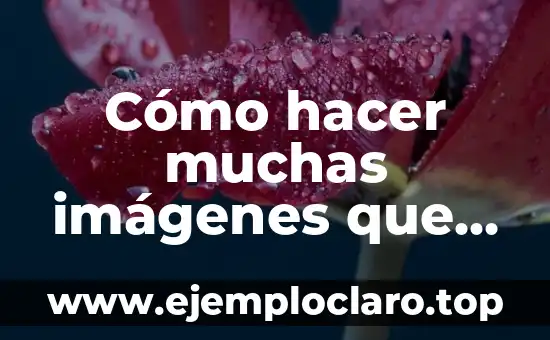 Como hacer un cuadro en formato APA 3 Cómo hacer muchas imágenes que caben en un cuadro