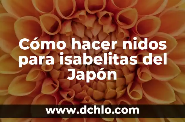 Los Anillos de Compromiso en Japón: Un Símbolo de Amor y Tradición 5 Cómo hacer nidos para isabelitas del Japón