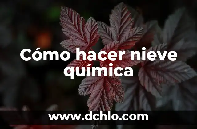 Como hacer guirnaldas de copos de nieve 6 Cómo hacer nieve química