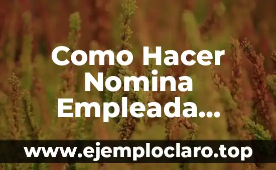 Ingreso Anual de Hogar Significado 8 Como Hacer Nomina Empleada Hogar por Horas