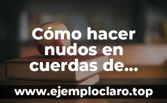 Las Cuerdas Vocales: Definición y Función 6 Cómo hacer nudos en cuerdas de tender