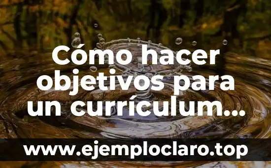 Cómo hacer objetivos para un currículum con experiencia