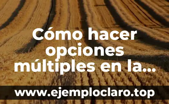 Cómo hacer opciones múltiples en la celda de Excel