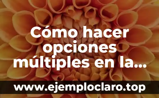 Cómo hacer opciones múltiples en la celda de Excel