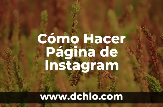Cómo hacer una auditoría de una página web 4 Cómo Hacer Página de Instagram