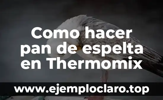 Como hacer pan de espelta en Thermomix