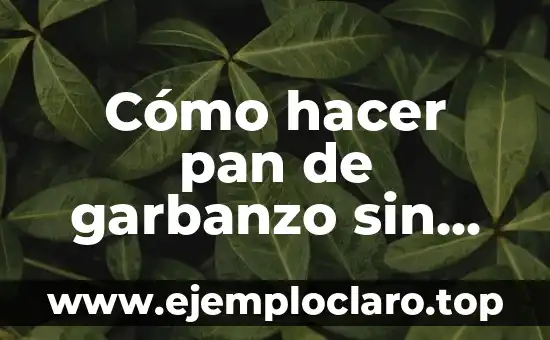 C贸mo hacer masa madre sin gluten 6 C贸mo hacer pan de garbanzo sin gluten