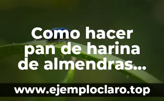 C贸mo hacer masa madre sin gluten 5 Como hacer pan de harina de almendras sin gluten