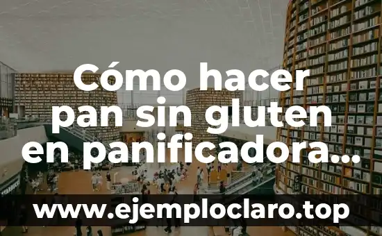 C贸mo hacer masa madre sin gluten 7 C贸mo hacer pan sin gluten en panificadora Lidl