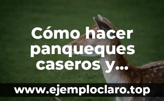 Cómo hacer panqueques caseros y desayunos saludables libres de grasa