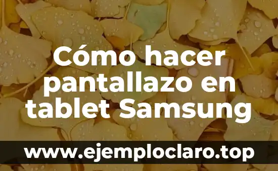 Cómo hacer pantallazo en tablet Samsung