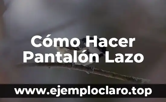 Como hacer lazo de cartulina 6 Cómo Hacer Pantalón Lazo