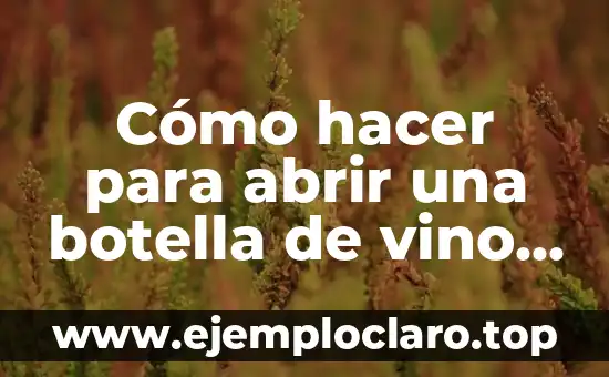 Significado de la Dureza de una Botella 4 Cómo hacer para abrir una botella de vino sin sacacorchos
