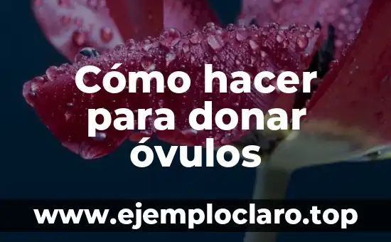 Cómo hacer a Springtrap 7 Cómo hacer para donar óvulos