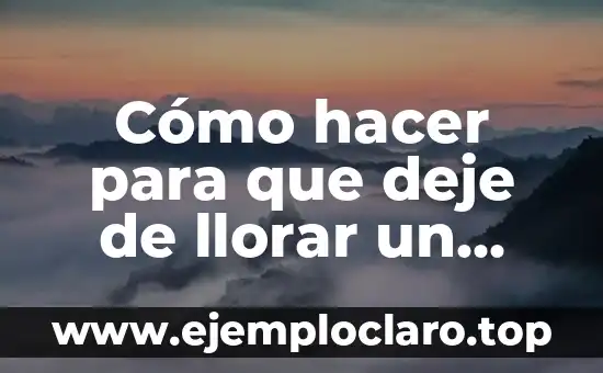 Cómo hacer que mi bebé deje de llorar 3 Cómo hacer para que deje de llorar un cachorro