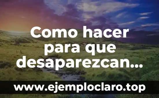 Como hacer para que desaparezcan las moscas