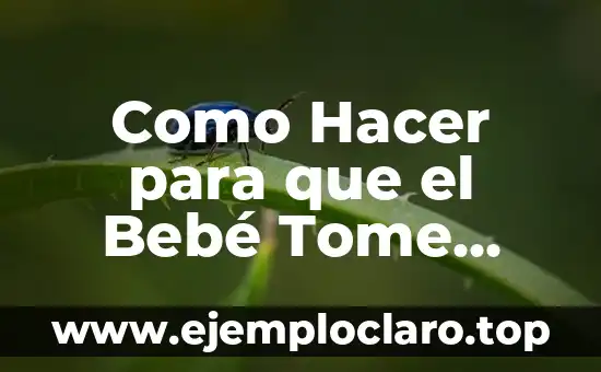Como hacer que Excel tome los puntos como comas 3 Como Hacer para que el Bebé Tome Biberón