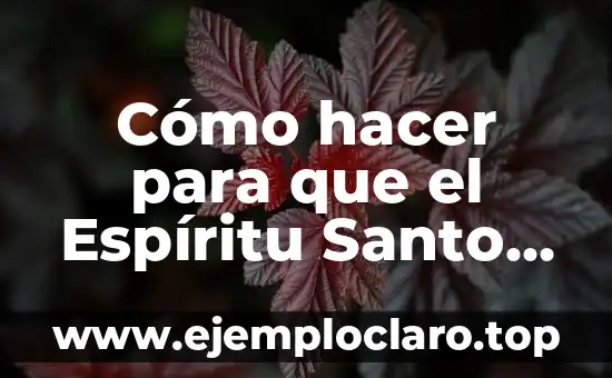 Hoz en la Biblia: Un símbolo de poder y espíritu 7 Cómo hacer para que el Espíritu Santo entre en mi
