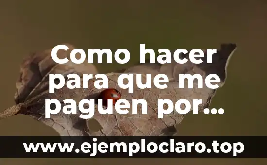 Cómo hacer una plataforma como Mercado Libre 4 Como hacer para que me paguen por Mercado Pago
