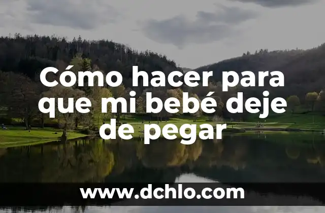 Cómo hacer que deje de ser lenta la computadora 8 Cómo hacer para que mi bebé deje de pegar