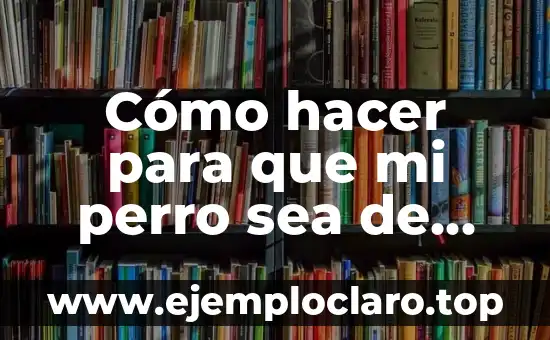 Cómo hacer para que mi perro sea de apoyo emocional