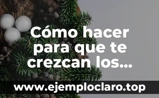 Cómo Hacer Pudin Fácil y Rápido 6 Cómo hacer para que te crezcan los dientes más rápido