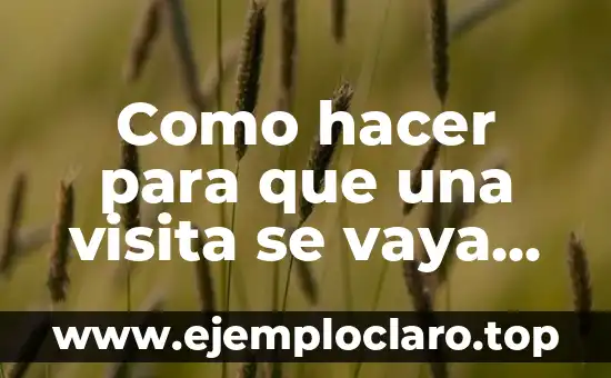 Cómo Hacer Dormir a un Bebé Toda la Noche 7 Como hacer para que una visita se vaya rápido