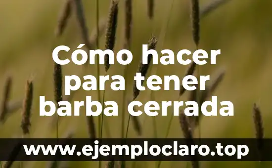 Como Hacer Dinero sin Tener Nada 6 Cómo hacer para tener barba cerrada