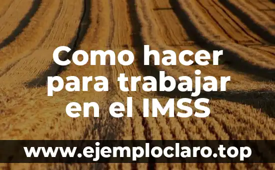 Como hacer para trabajar en el IMSS