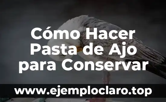 Cómo hacer masa de pasta fresca 8 Cómo Hacer Pasta de Ajo para Conservar