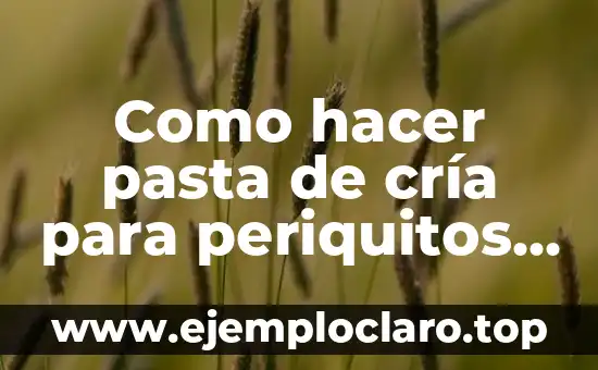 Cómo hacer masa de pasta fresca 7 Como hacer pasta de cría para periquitos australianos