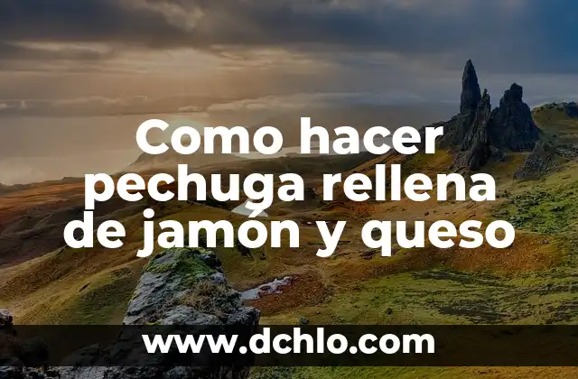 Cómo hacer una tesis de un ensayo literario 5 Como hacer pechuga rellena de jamón y queso