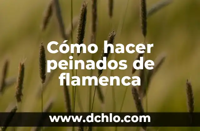 Cómo hacer peinados anime para mujer 8 Cómo hacer peinados de flamenca