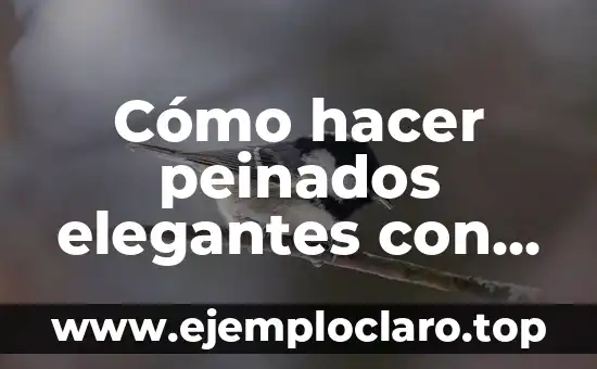 Cómo hacer peinados elegantes con trenzas