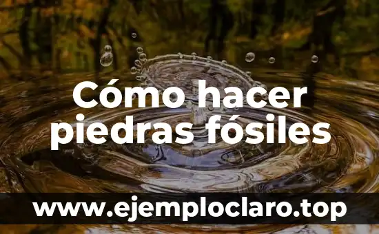 Cristalización de Fósiles: Un Mundo de Preservación y Belleza Geológica 3 Cómo hacer piedras fósiles