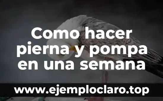 Como hacer pierna y pompa en una semana