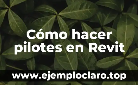 Cómo hacer huecos en muros en Revit 4 Cómo hacer pilotes en Revit