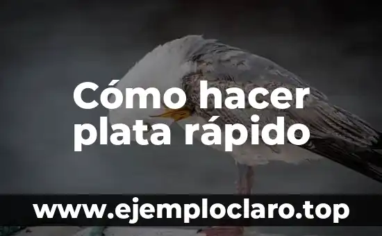 Cómo Hacer Pudin Fácil y Rápido 5 Cómo hacer plata rápido