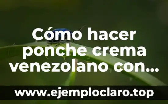 Cómo hacer ponche crema venezolano con flan