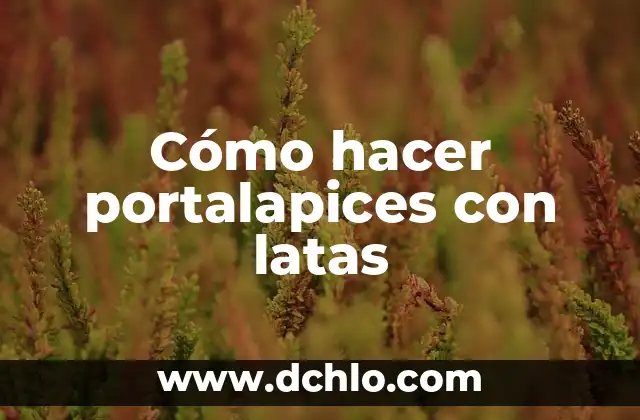 Como hacer un vestido con anillas de latas 5 Cómo hacer portalapices con latas