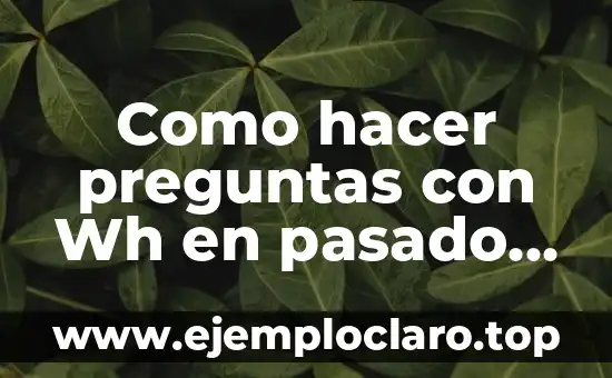 Cómo hacer preguntas incomodas 3 Como hacer preguntas con Wh en pasado simple