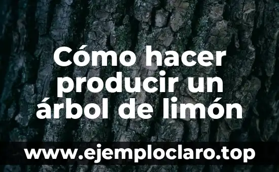 Como Hacer Dieras 8 Cómo hacer producir un árbol de limón