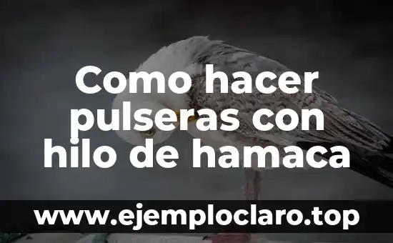 Como hacer pulseras con hilo de hamaca